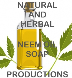 Natural And Herbal Neem Oil Soap Formulation And Production