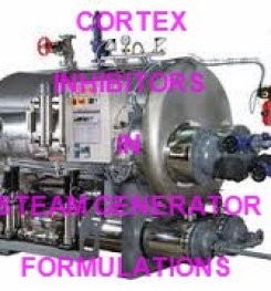 Cortex Inhibitor For Steam Generator Formulation And Production Process