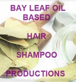 Bay Leaf Oil Based Hair Shampoo Formulation And Production