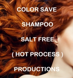 Hair Care Products Formulations Encyclopedia Textbooks E