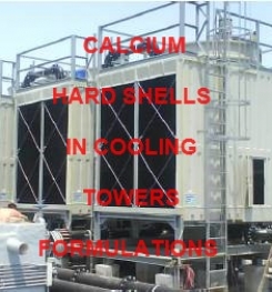Calcium Hard Shells In Cooling Towers Formulation And Production Process