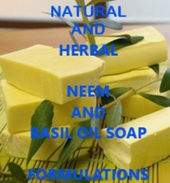 Natural And Herbal Neem And Basil Oil Soap Formulation And Production