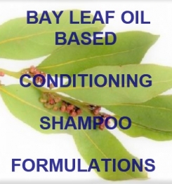 Bay Leaf Oil Based Conditioning Shampoo Formulation And Production