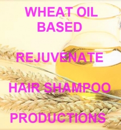 Wheat Oil Based Rejuvenate Hair Shampoo Formulation And Production