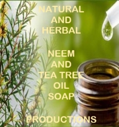 Natural And Herbal Neem And Tea Tree Oil Soap Formulation And Production