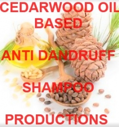 Cedarwood Oil Based Anti Dandruff Shampoo Formulation And Production