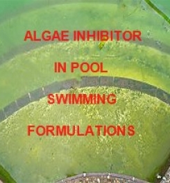 Algae Inhibitor Solution In Pool Swimming Formulation And Production Process